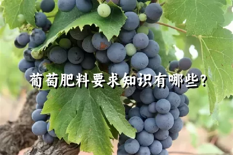 葡萄肥料要求知识有哪些？