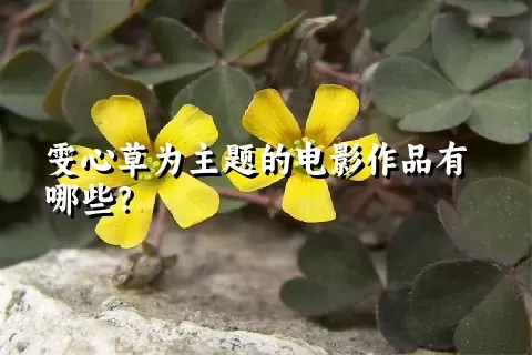 雯心草为主题的电影作品有哪些？