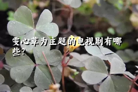 雯心草为主题的电视剧有哪些？