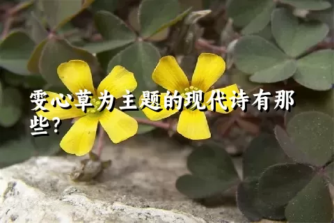 雯心草为主题的现代诗有那些？