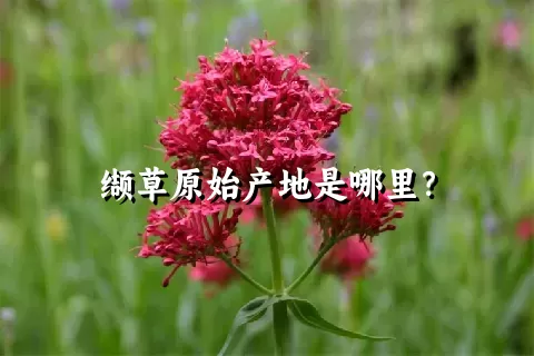 缬草原始产地是哪里？