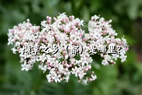 缬草之乡（都）是哪里？