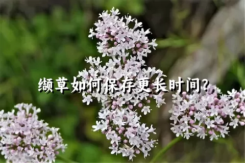 缬草如何保存更长时间？