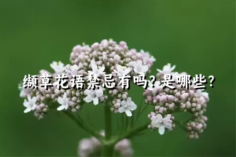 缬草花语禁忌有吗？是哪些？