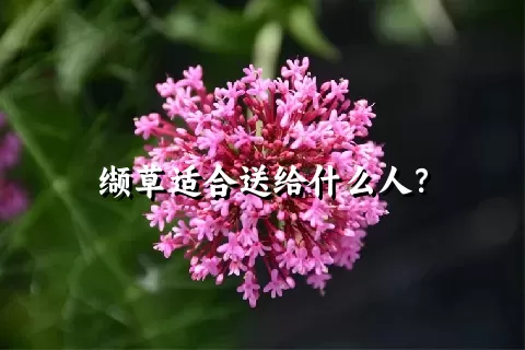 缬草适合送给什么人？