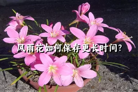 风雨花如何保存更长时间？