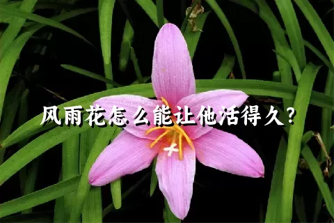 风雨花怎么能让他活得久？