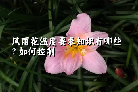 风雨花温度要求知识有哪些？如何控制