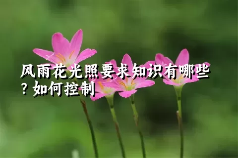 风雨花光照要求知识有哪些？如何控制