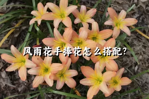 风雨花手捧花怎么搭配？