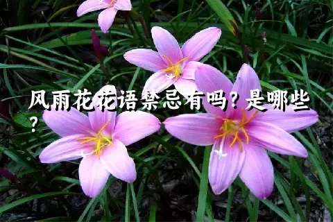 风雨花花语禁忌有吗？是哪些？