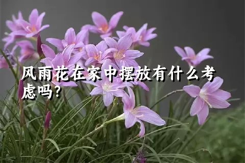 风雨花在家中摆放有什么考虑吗？