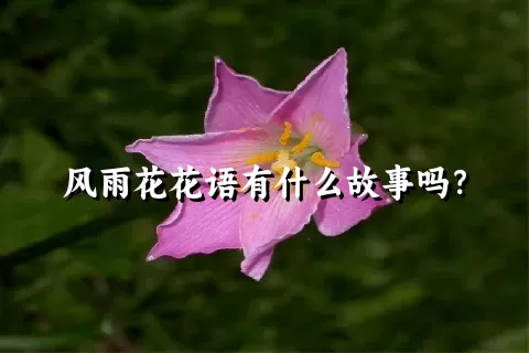 风雨花花语有什么故事吗？