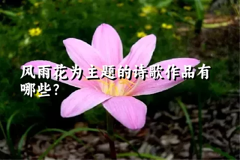 风雨花为主题的诗歌作品有哪些？