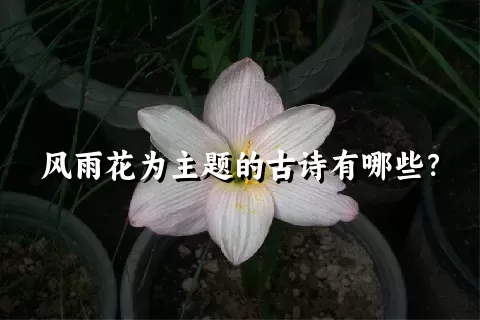 风雨花为主题的古诗有哪些？