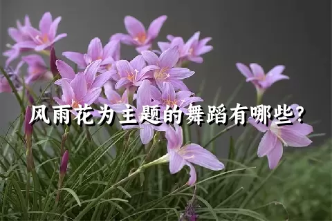 风雨花为主题的舞蹈有哪些？