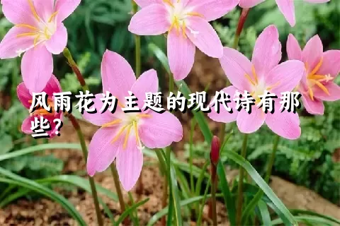 风雨花为主题的现代诗有那些？