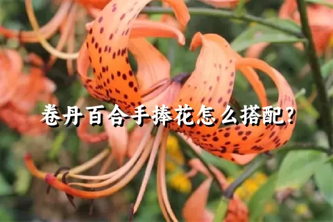 卷丹百合手捧花怎么搭配？