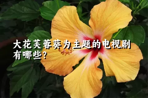 大花芙蓉葵为主题的电视剧有哪些？