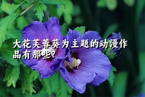 大花芙蓉葵为主题的动漫作品有那些？