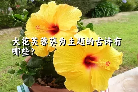 大花芙蓉葵为主题的古诗有哪些？