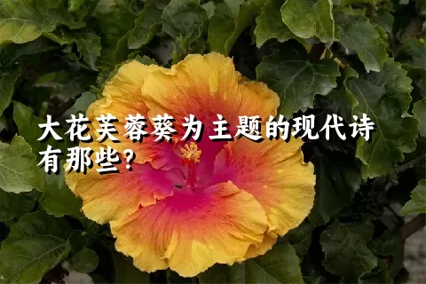 大花芙蓉葵为主题的现代诗有那些？