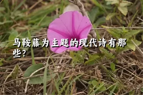 马鞍藤为主题的现代诗有那些？