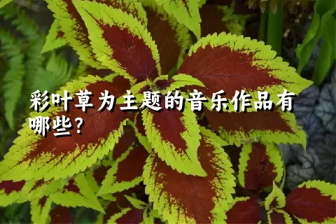 彩叶草为主题的音乐作品有哪些？