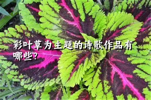 彩叶草为主题的诗歌作品有哪些？