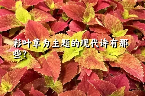 彩叶草为主题的现代诗有那些？