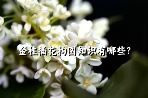 金桂插花构图知识有哪些？