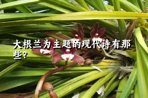 大根兰为主题的现代诗有那些？