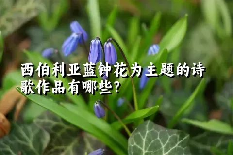 西伯利亚蓝钟花为主题的诗歌作品有哪些？