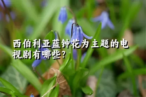 西伯利亚蓝钟花为主题的电视剧有哪些？