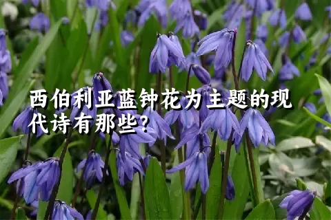 西伯利亚蓝钟花为主题的现代诗有那些？