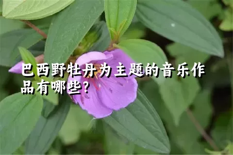 巴西野牡丹为主题的音乐作品有哪些？