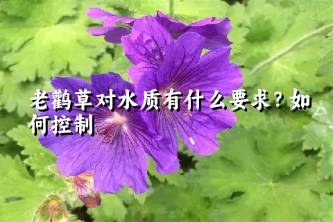 老鹳草对水质有什么要求？如何控制