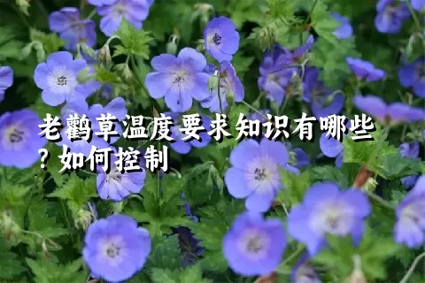 老鹳草温度要求知识有哪些？如何控制