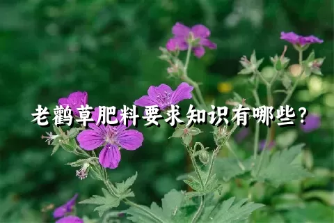 老鹳草肥料要求知识有哪些？