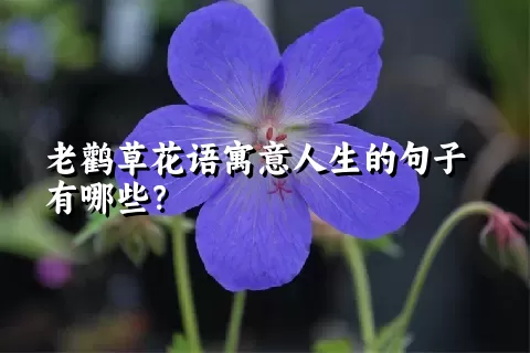 老鹳草花语寓意人生的句子有哪些？