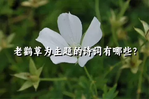 老鹳草为主题的诗词有哪些？