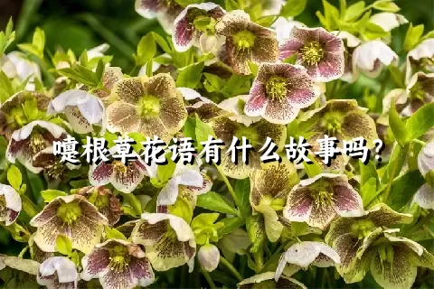 嚏根草花语有什么故事吗？