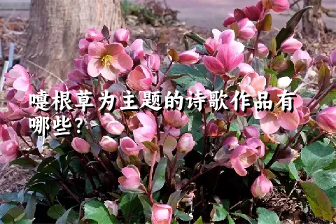 嚏根草为主题的诗歌作品有哪些？