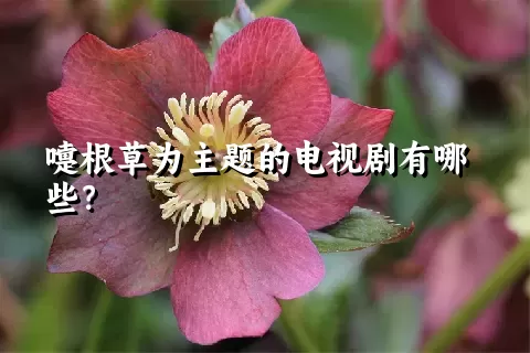 嚏根草为主题的电视剧有哪些？