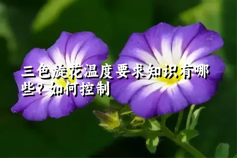 三色旋花温度要求知识有哪些？如何控制