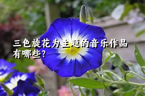 三色旋花为主题的音乐作品有哪些？