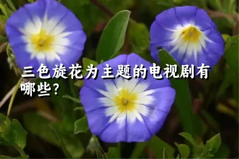 三色旋花为主题的电视剧有哪些？