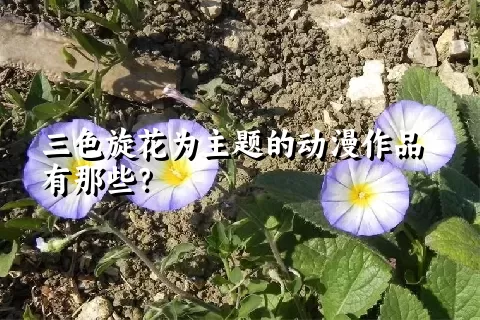 三色旋花为主题的动漫作品有那些？