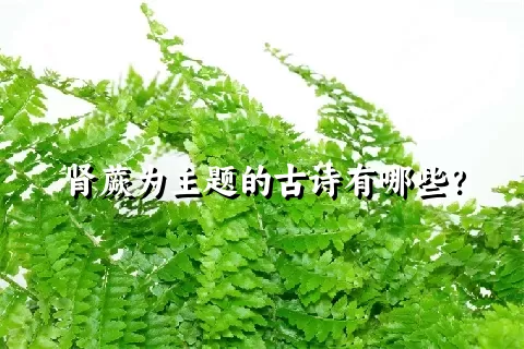 肾蕨为主题的古诗有哪些？