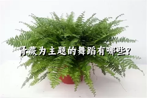 肾蕨为主题的舞蹈有哪些？